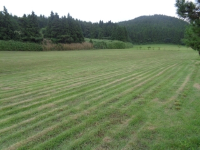 소재지2(봉성리 51-8) 전경 사진