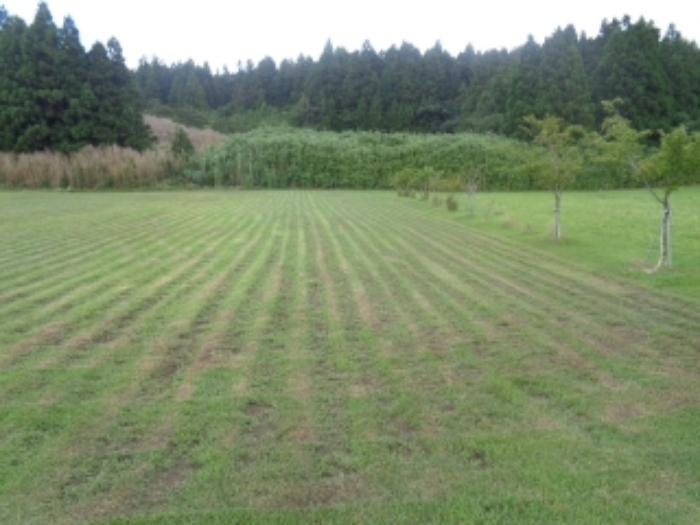 소재지3(봉성리 51-2) 전경 사진