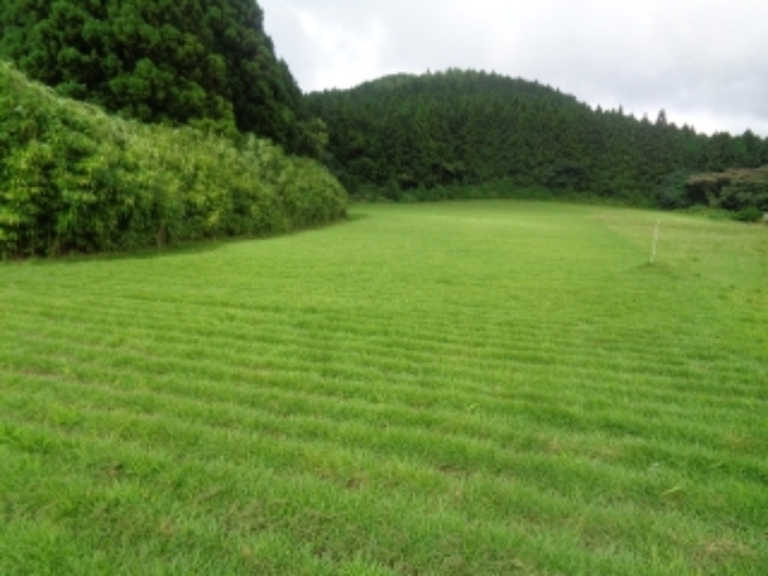 소재지3(봉성리 51-2) 전경 사진