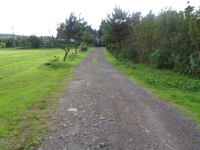 소재지4(봉성리 산23-30) 전경 사진