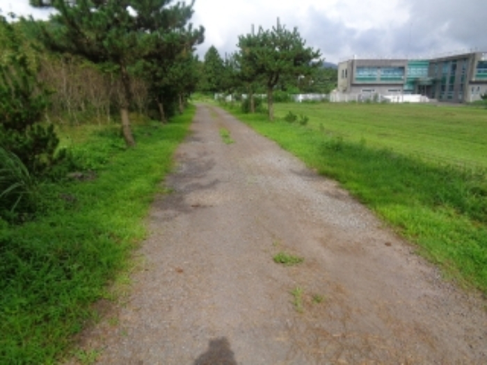 소재지4(봉성리 산23-30) 전경 사진