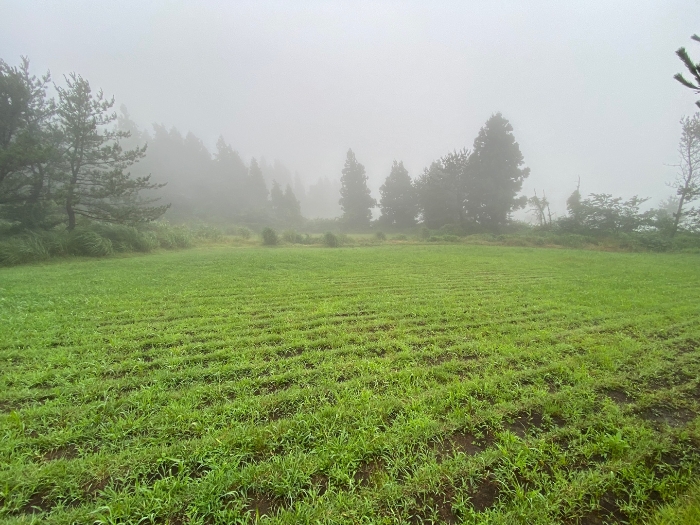 일련번호 1 전경