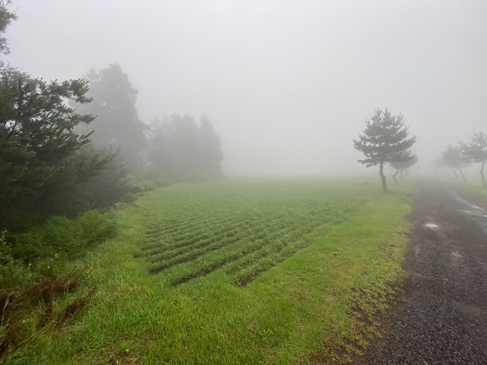 일련번호 1 전경