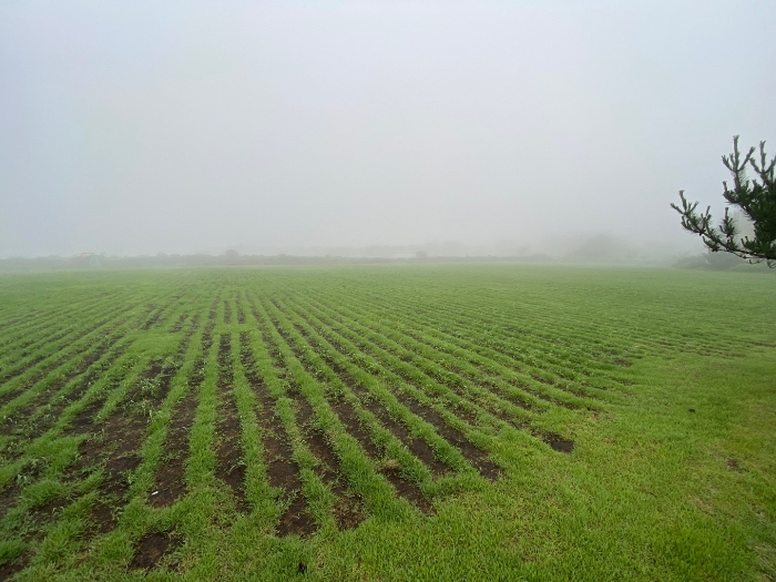 일련번호 2 전경