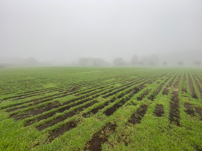 일련번호 2 전경