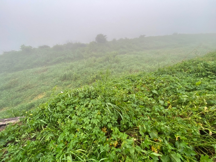 일련번호 2 하천 제외지 부분