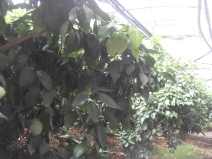 소재지1(가시리