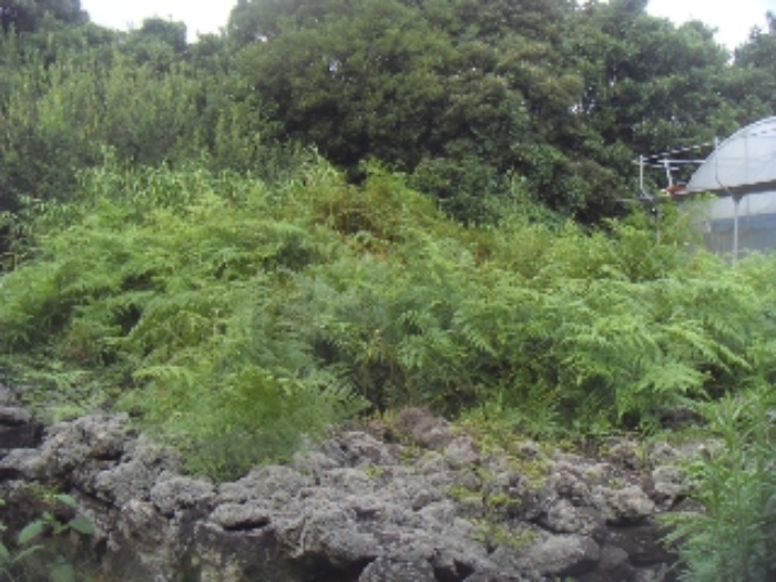 소재지2(가시리