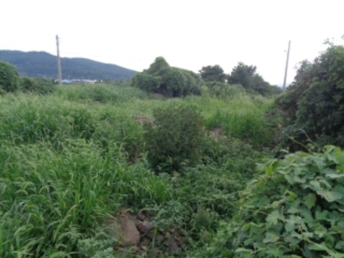 소재지2(봉성리