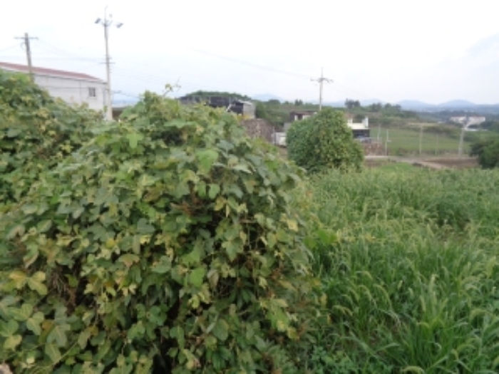 소재지2(봉성리