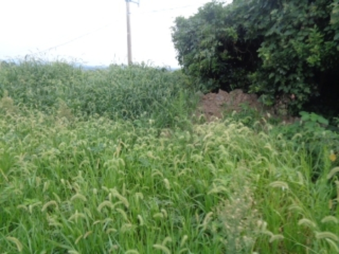 소재지3(봉성리