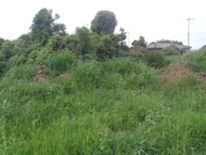 소재지3(봉성리