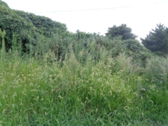 소재지4(봉성리