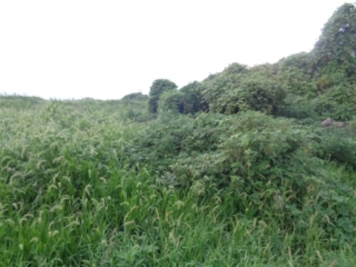 소재지4(봉성리