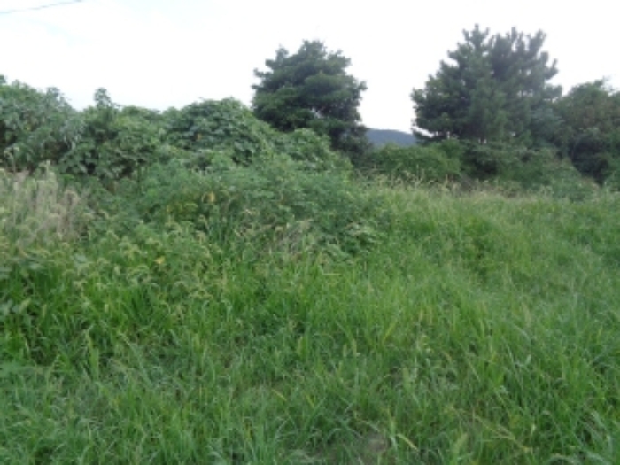 소재지5(봉성리