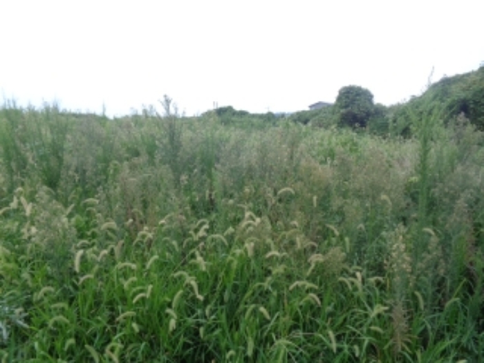 소재지5(봉성리