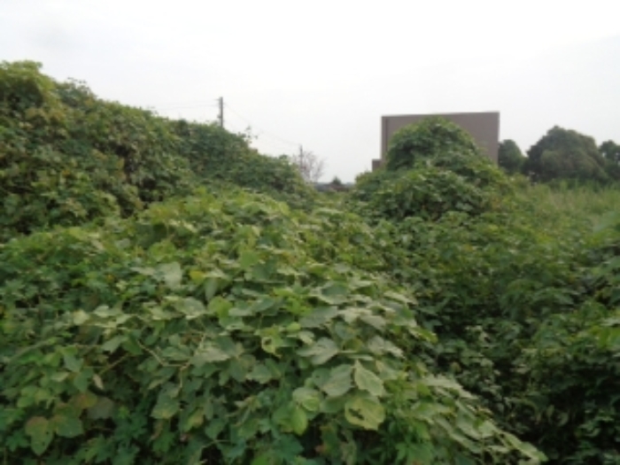 소재지6(봉성리