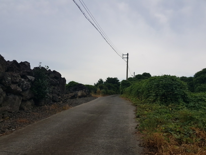 주위환경 (남서