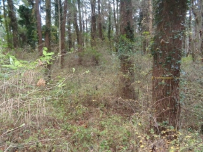 본건(아라일동 394-1) 전경 사진