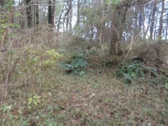 본건(아라일동 394-1) 전경 사진