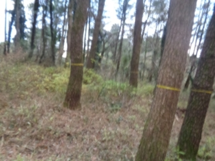 본건(아라일동 394-1) 전경 사진