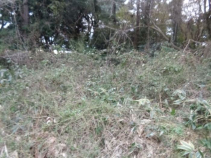 본건(아라일동 394-1) 전경 사진