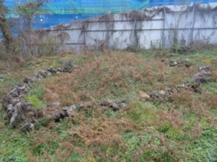 본건(아라일동 394-1) 지상 제시외 분묘 사진