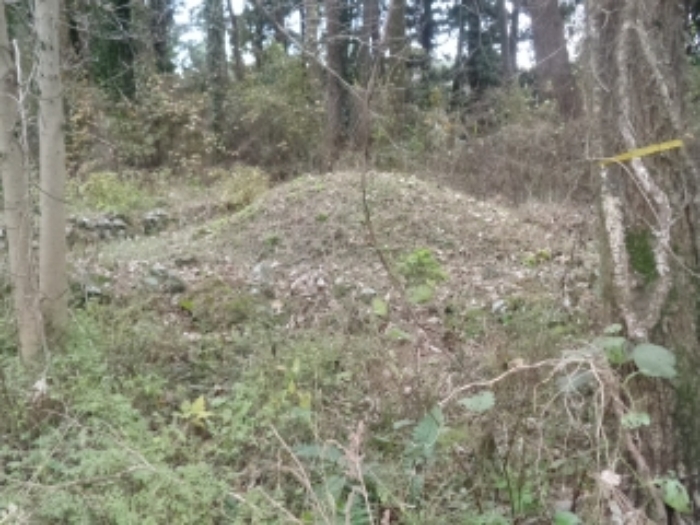 본건(아라일동 394-1) 지상 제시외 분묘 사진