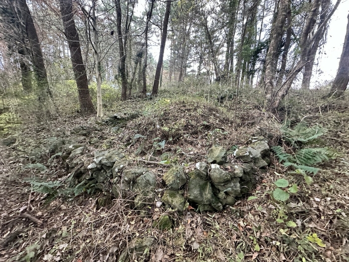 본건 지상 소재 분묘