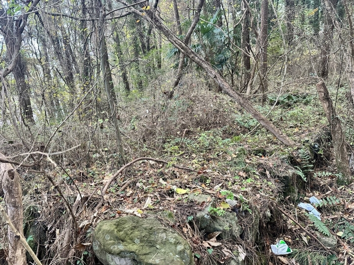 본건 지상 소재 분묘