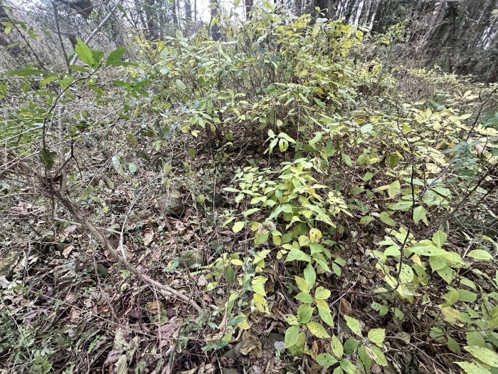 본건 지상 소재 분묘