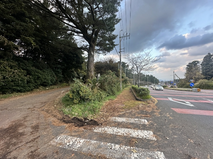 주변도로 및 주위환경