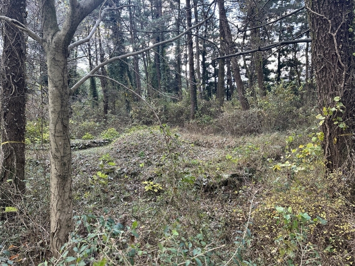 본건 지상 소재 분묘