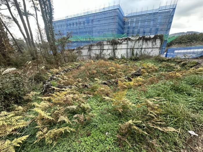 본건 지상 소재 분묘