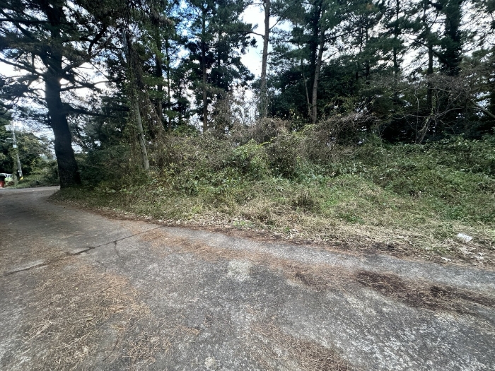 주변도로 및 주위환경