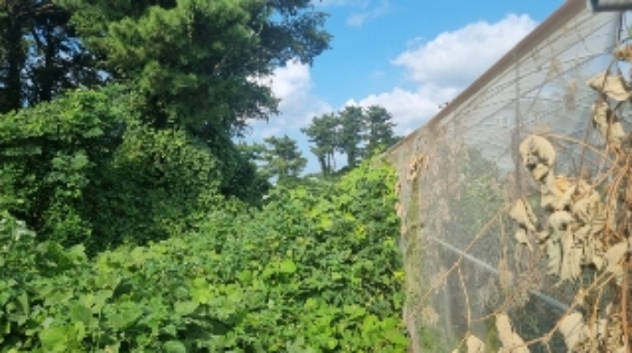 소재지6(함덕리 1991-18) 전경