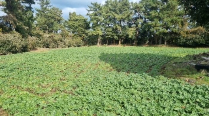 소재지3(시흥리