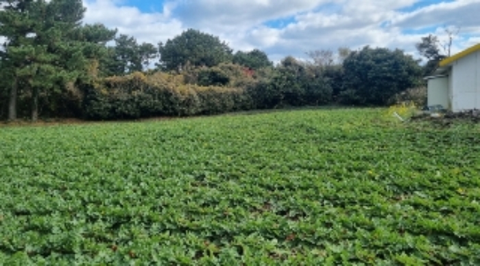 소재지3(시흥리