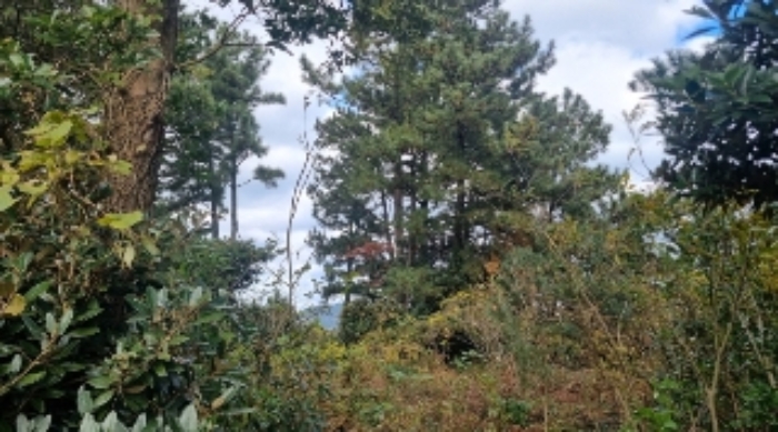 소재지3(시흥리