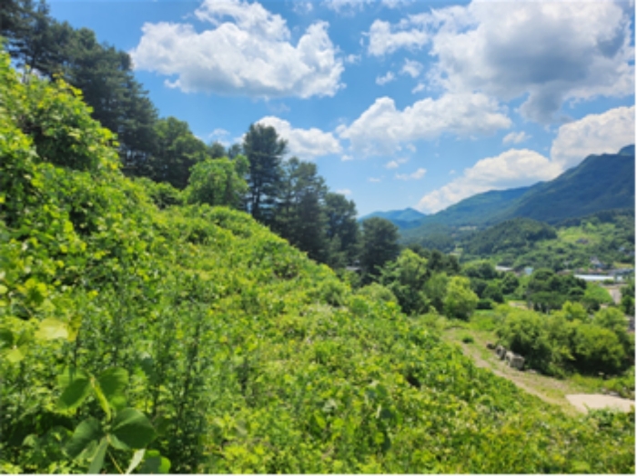 [ 본 건 기 호 (1) 전 경 ]