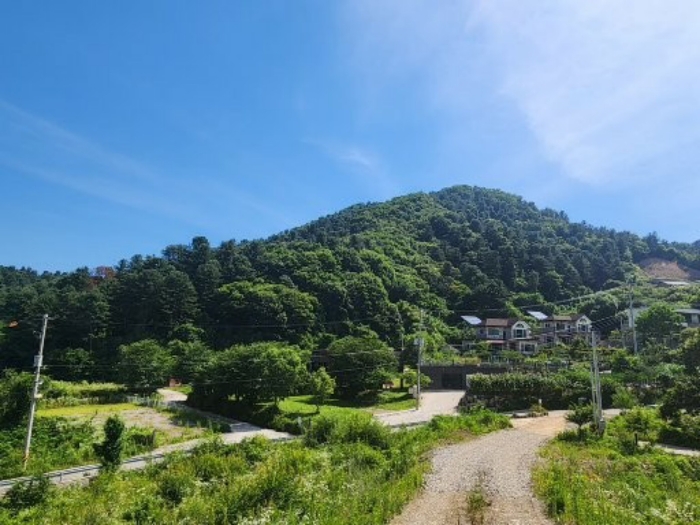 남서측에서 촬영