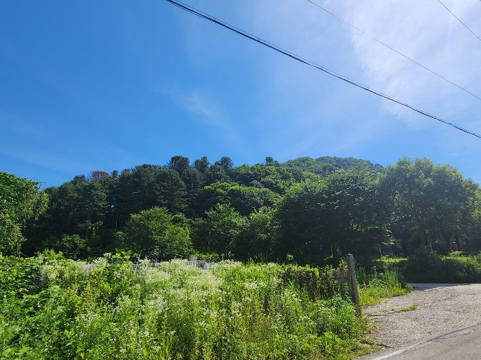 남서측에서 촬영