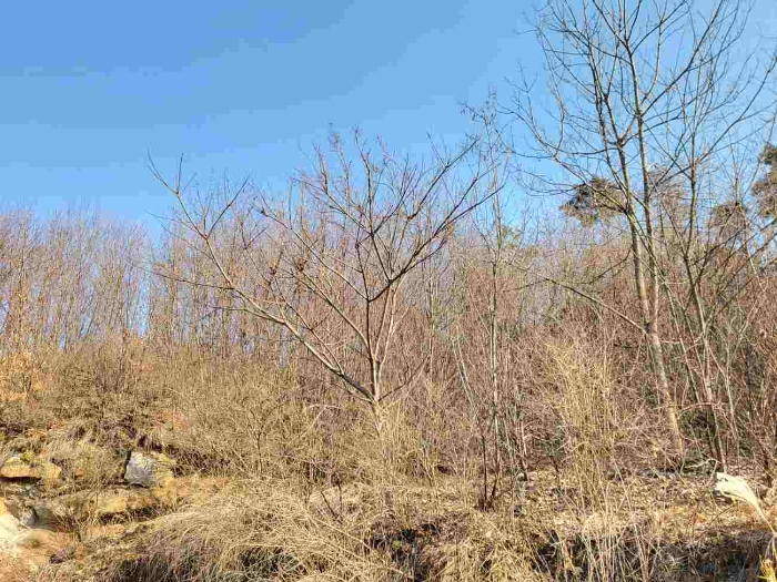 제시 목록 6 부동산