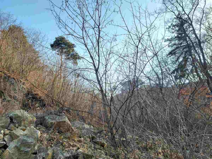 제시 목록 7 부동산