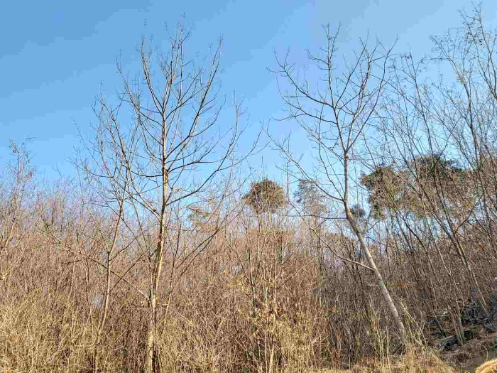 제시 목록 7 부동산