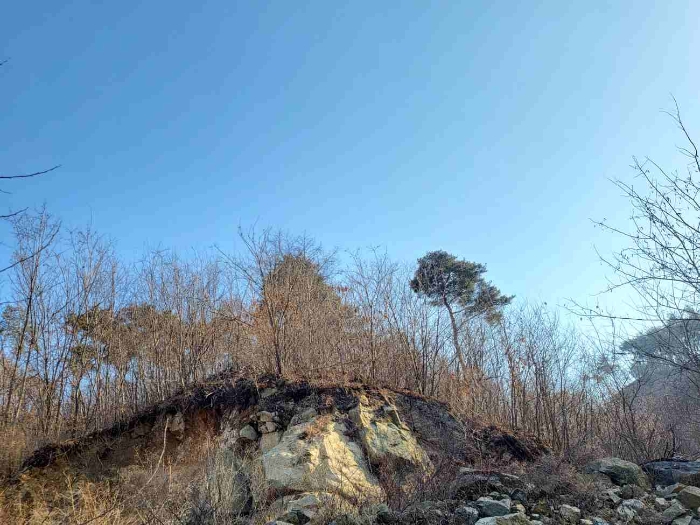 제시 목록 7 부동산