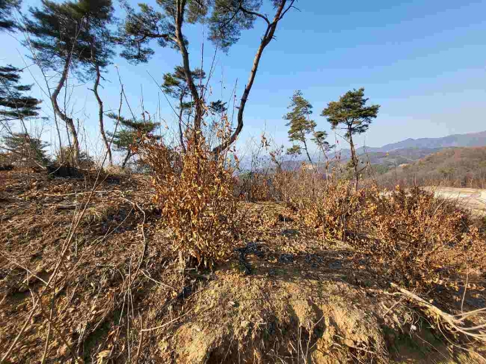 제시 목록 8 내지 13 부동산