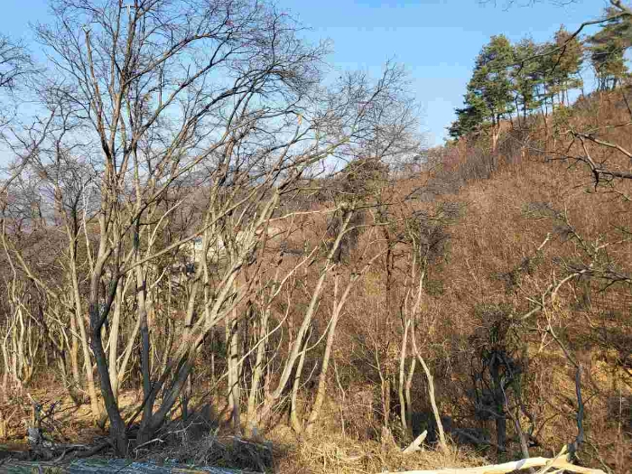 제시 목록 8 내지 13 부동산