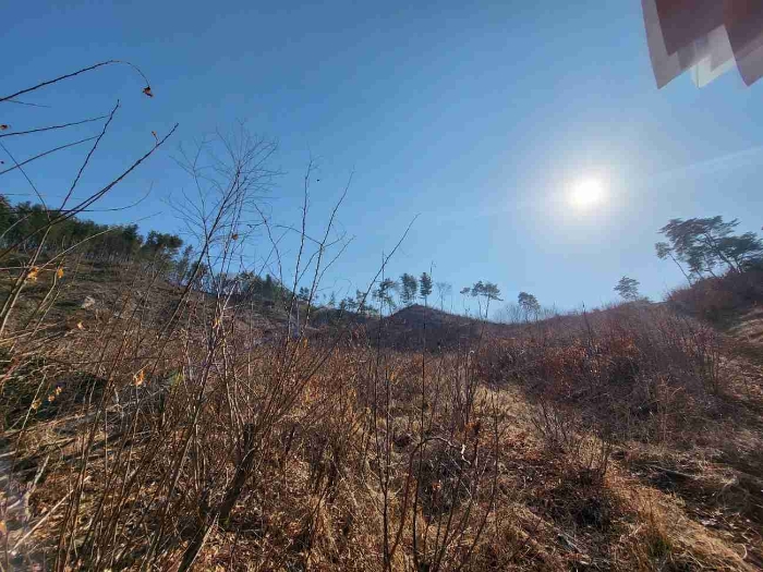 제시 목록 8 내지 13 부동산