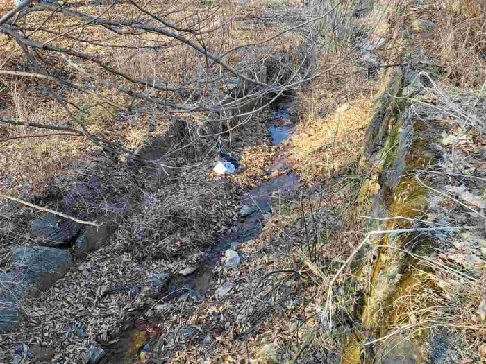 제시 목록 2 부동산(구거)